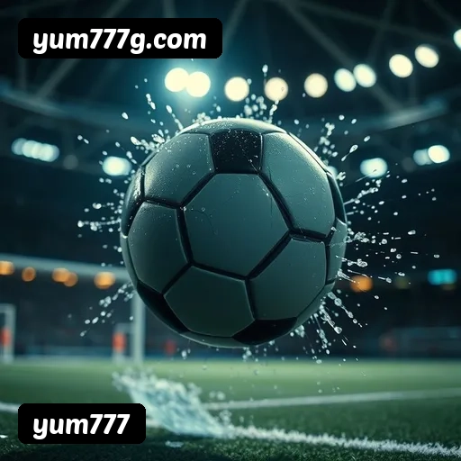Níveis do programa VIP da yum777